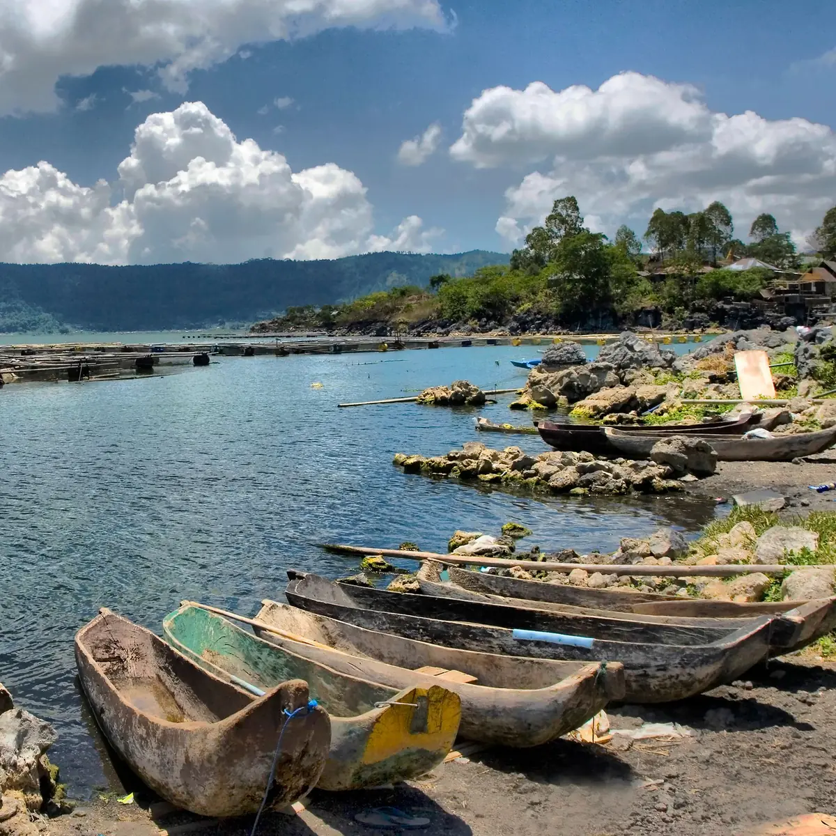 Wooden canoes pulled up on the shore of Lake Batur with the caldera wall behind